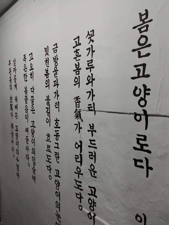 Bomgoro Guesthouse Daegu Esterno foto